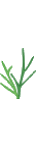 graswachsen